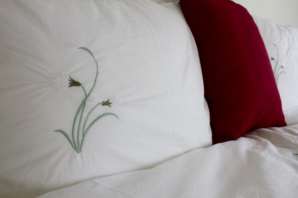 Graystone Guesthouse Sandgerthi Екстер'єр фото
